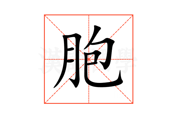 胞