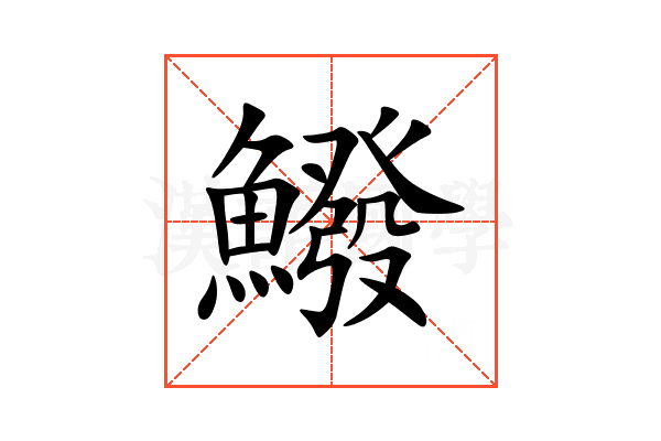 鱍