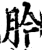 肣(印刷字体·宋·增韵)