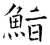 鮨(石经·唐·开成石经)